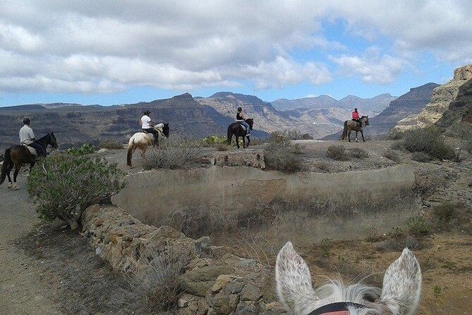 The Best Horse Riding Experience in Gran Canaria (2 hours) - Who Is It Best For?