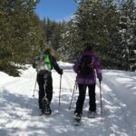 The Best of Bansko: Magical Snowshoeing Adventure & SPA - Why This Tour Offers Great Value