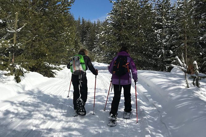 The Best of Bansko: Magical Snowshoeing Adventure & SPA - Why This Tour Offers Great Value