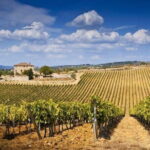 The Complete Wine Tour Brunello, Nobile, Chianti wine experience - Practical Considerations