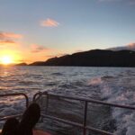 The Great Blasket Island Experience - Premium Tour - The Sum Up