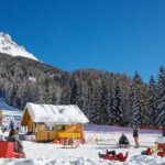 The most famous sledge slope in the Dolomites and a panoramic tour by car - What We Love About This Tour