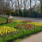 The Splendour of Georgian and Victorian Era Bath: A Self-Guided Audio Tour - Authentic Insights from Past Reviewers