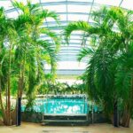 Therme Spa Ultimate Experience | Transfer - Full Access All Areas - The Extra Mile: Transfers and Timing