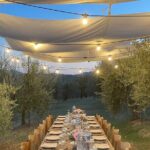 Think of a romantic meal in the Olive Trees shade, accompanied by Tuscan wines! - The Setting and Views: A Picture Perfect Backdrop