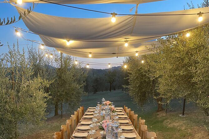 Think of a romantic meal in the Olive Trees shade, accompanied by Tuscan wines! - The Setting and Views: A Picture Perfect Backdrop