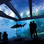 Ticket Palma Aquarium - Authentic Visitor Insights