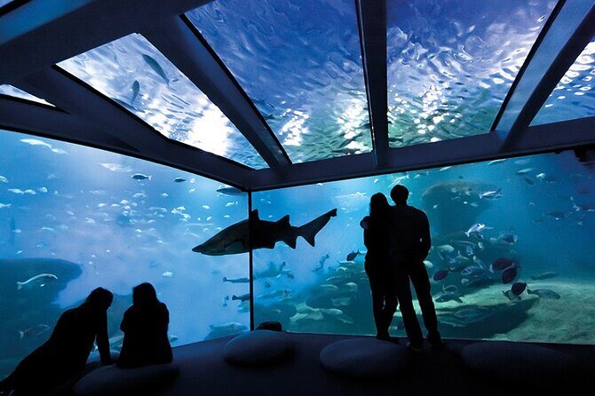 Ticket Palma Aquarium - Authentic Visitor Insights