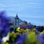 Tour - 8 Villages to the West - Pricing and Overall Value