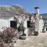 Tour: Alberobello, Ostuni & Locorotondo, Apulian Aperitif - Analyzing the Value: Is It Worth It?