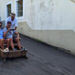 Tour Cable Car Toboggan Tropical Garden and Skywalk - The Practical Aspects