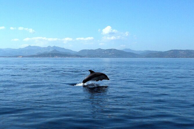 Tour in rubber dinghy and snorkeling in the Protected Marine Area of Tavolara - Final Thoughts