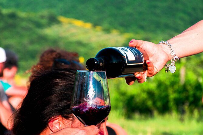 Tour through the vineyards and wine and olive oil tasting in Tuscany - Exploring the Villa La Ripa Vineyard Tour