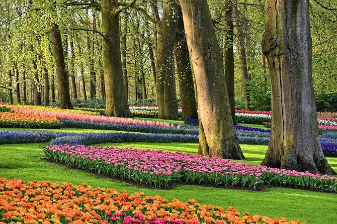 Tour to Giethoorn and Keukenhof Tulip Fields from Amsterdam - The Value and Who It’s Best For