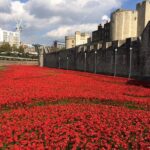 Tower of London Private Guided Tour - Final Thoughts on the Tower of London Private Guided Tour