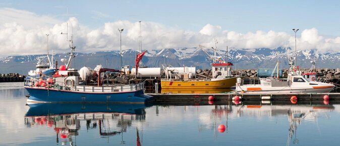 Traditional Oak Ship Whale Watching Tour From Husavik - FAQ