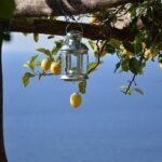 Transfer from Naples to Amalfi or Atrani or Vice Versa - The Itinerary Breakdown