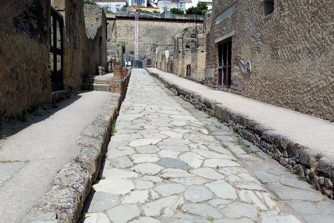 Transfer from Naples to Sorrento with a stop at Pompeii and Mt Vesuvius(1-8 PAX) - Detailed Breakdown of the Tour Experience