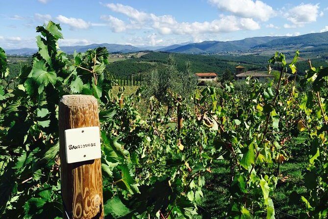 TRANSFER TOUR Florence to Rome with a wine experience in MONTEPULCIANO - Why This Tour Works Well