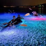 Transparent Kayak Night Glow Experience from Pula - An In-Depth Look at the Experience