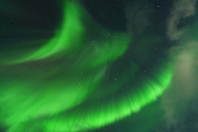 Tromsø: Northern Light tour with free complimentary photos. - Who Is This Tour Best For?