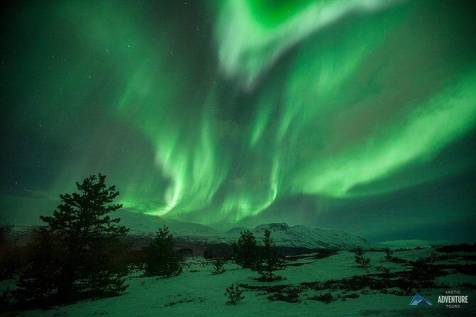 Tromsø: Small Group Northern Lights Hunt - Detailed Breakdown of the Itinerary