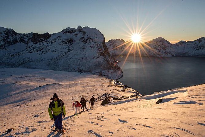 Tromsø: Winter Snowshoeing with Wandering Owl - The Experience in Practice