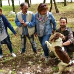 Truffle Hunt & Bio Lunch in Assisi - Final Thoughts
