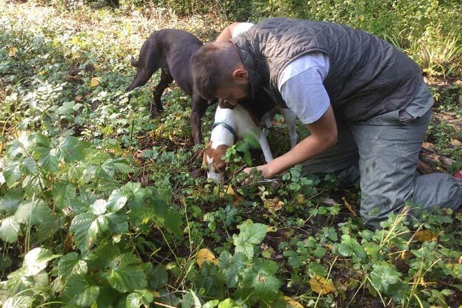 Truffle hunting adventure - Detailed Look at the Itinerary