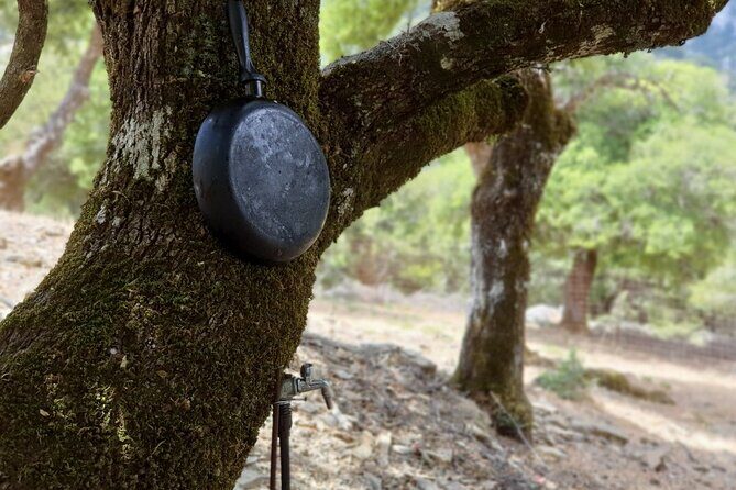 Truffle Hunting, Culinary & Wine Celebration from Elounda - The Practical Side: Transportation, Timing, and Comfort