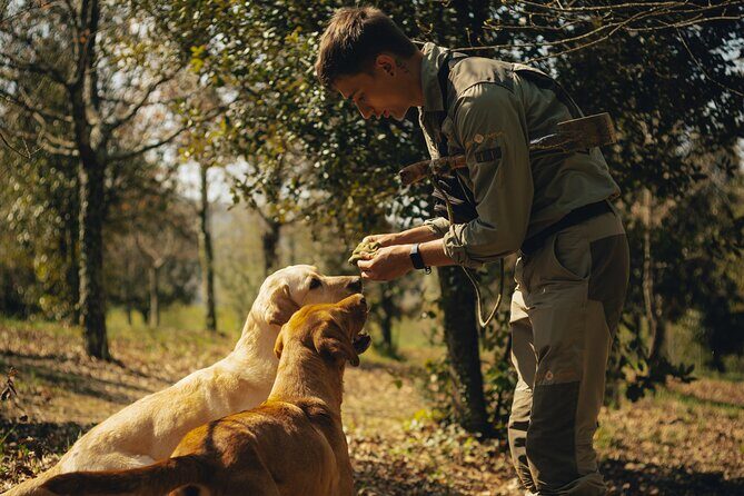 Truffle hunting for Nature Enthusiasts - Authenticity & Unique Features