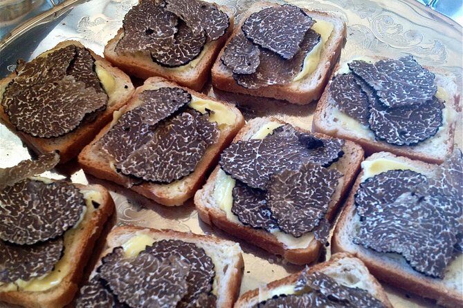 Truffle Hunting in Provence - What Reviewers Say: Authentic Insights