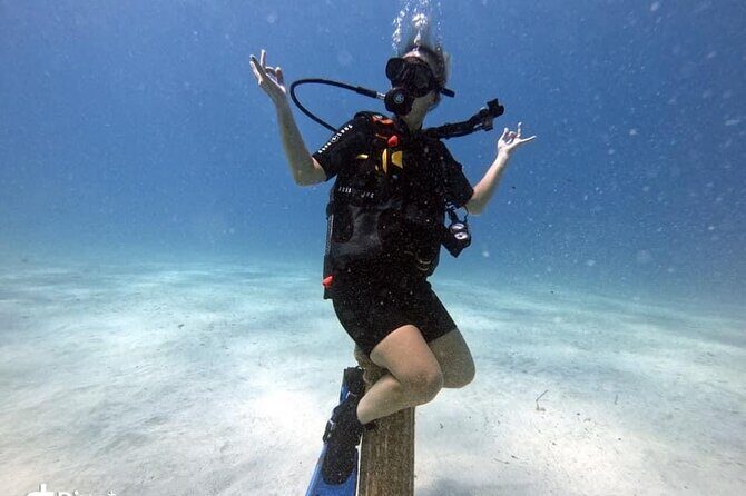 Try a Scuba Diving Experience - Why the Reviews Speak Volumes