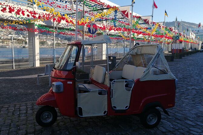Tuk Tuk tour in Funchal - Who Will Enjoy This Tour?