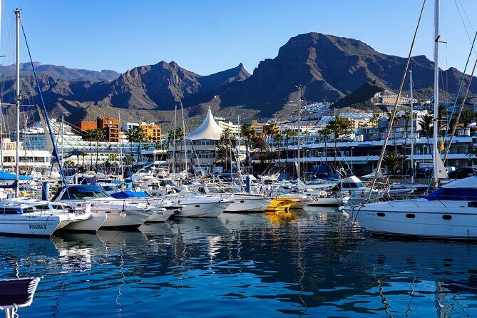 Tuk Tuk Tours in Costa Adeje - FAQs