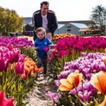 Tulip Experience and Keukenhof Flower Gardens Tour from Amsterdam - What the Reviews Say