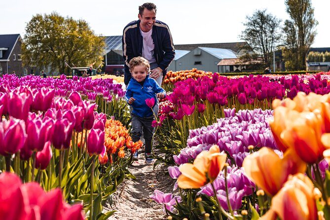 Tulip Experience and Keukenhof Flower Gardens Tour from Amsterdam - What the Reviews Say