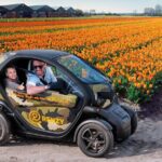 Tulip Fields Tour near Keukenhof - Self-drive with Audio Guide - Insights from Reviews: What Travelers Love (and What Could Be Better)