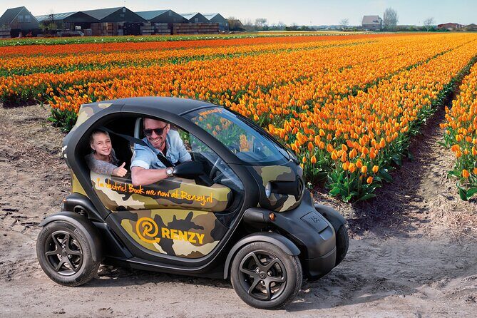 Tulip Fields Tour near Keukenhof - Self-drive with Audio Guide - Insights from Reviews: What Travelers Love (and What Could Be Better)