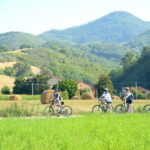 Tuscan countryside bike tour and food tasting - What Makes This Tour Stand Out?