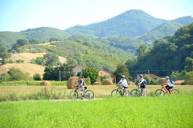 Tuscan countryside bike tour and food tasting - What Makes This Tour Stand Out?