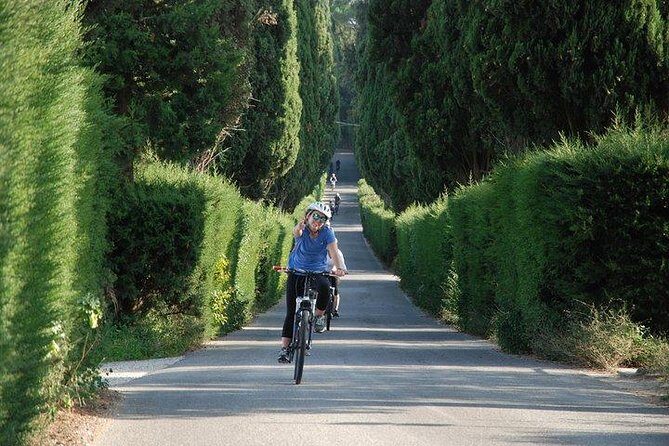 Tuscany Bike Tours Through the Chianti Hills with Wine Tasting - Authentic Experiences from Fellow Travelers
