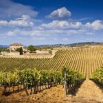 Two days of Tuscany discovering the Nobile, Brunello, Chianti area - Practical Details and What You’ll Love