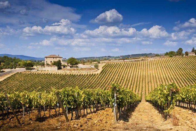 Two days of Tuscany discovering the Nobile, Brunello, Chianti area - Practical Details and What You’ll Love