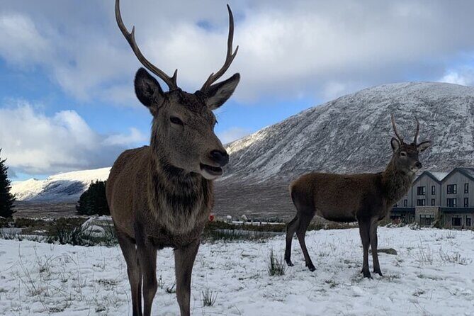 Ultimate Day tour Edinburgh: Glencoe, Highland Cows, Loch Lomond - Glencoe: Nature’s Dramatic Masterpiece