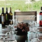 Unique wine tasting of organic Cretan wines - Final Thoughts