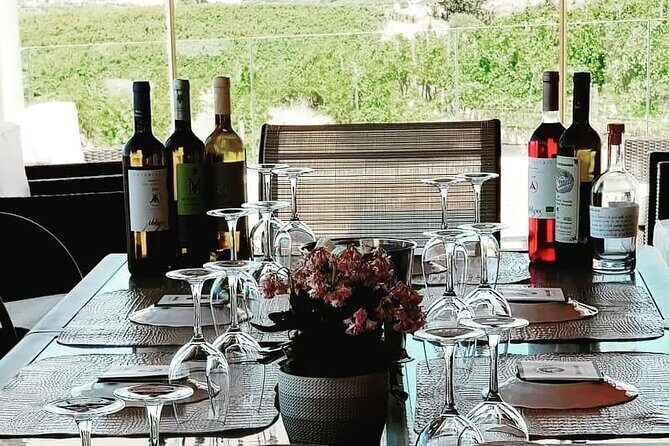 Unique wine tasting of organic Cretan wines - Final Thoughts
