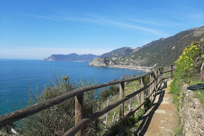 Uniquely classic Cinque Terre - Who This Tour Is Perfect For