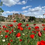 Unspoiled Spain: Food & Wine Tasting for Foodies & Nature Lovers - Authenticity and Unique Aspects