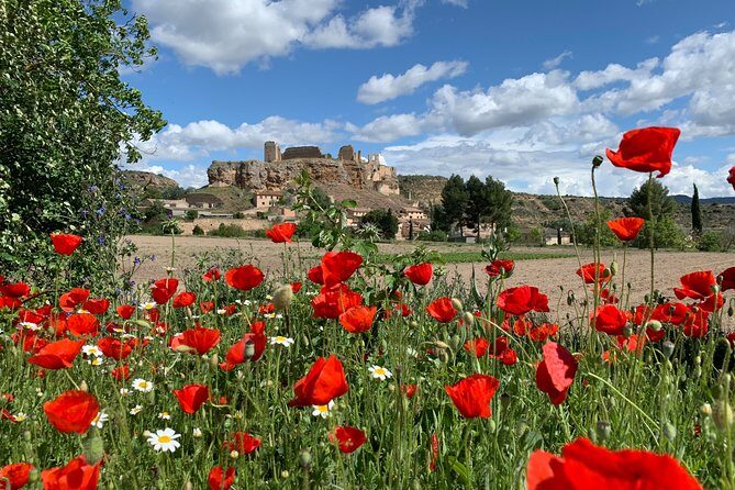 Unspoiled Spain: Food & Wine Tasting for Foodies & Nature Lovers - Authenticity and Unique Aspects